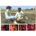 Thumbnail view: Laundary Boy - Mereb.Shop - ላውንደሪ ቦይ