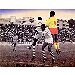 Thumbnail view: Libro - Mereb.Shop - ሊብሮ