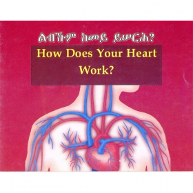 How does Your Heart work?