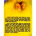 Thumbnail view: YeTeraraw Mirkognoch - Mereb.Shop - የተራራው ምርኮኞች