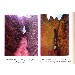 Thumbnail for Lalibela: A Museum of Living Rocks