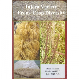 Injera Variety From Crop Diversity