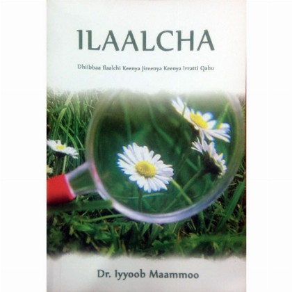 Ilaalcha - Mereb.Shop