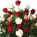 Thumbnail for Mix Flower Bouquet - Two Side
