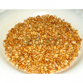 Elsa Kolo (Roasted  Barley)