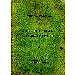 Thumbnail view: THE BACKGROUND OF THE ETHIO-SOMALIA BOUNDARY DISPUTE - Mereb.Shop