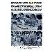 Thumbnail view: ENRICHING THE CONSTITUTION - Mereb.Shop