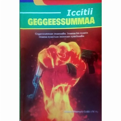 Iccitii Geggeessummaa - Mereb.Shop