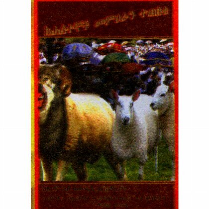 KeHasetegnoch Memihiran Tetebeku - Mereb.Shop - ከሐሰተኞች መምህራን ተጠበቁ