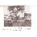 Thumbnail for Aremenew Fashist (1927-1933)