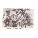 Thumbnail for Aremenew Fashist (1927-1933)