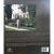 Thumbnail for HAILE SELASSIE (The Palace's photo Albums)(Les Albums Photo Du Palais)