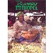 Thumbnail view: Discovering ETHIOPIA - Mereb.Shop