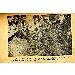 Thumbnail view: YeKassa Tizitawoch - Mereb.Shop - የካሣ ት ዝታዎች
