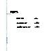 Thumbnail view: Zidon (Fikir,Ewnet,Eminet) (Three books in one binding) - Mereb.Shop - ዝዶን (ፍቅር፣እውነት፣እምነት) (ሶስት መጽሃፍት በአንድ)