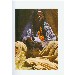 Thumbnail for HARAR (A Cultural Guide)