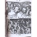 Thumbnail for Galahti Segi (YeHiwehat Yetitik Tigil Tarik 1967-83)
