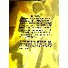 Thumbnail view: Zinbula ena Karot - Mereb.Shop - ዝንቡላ እና ካሮት