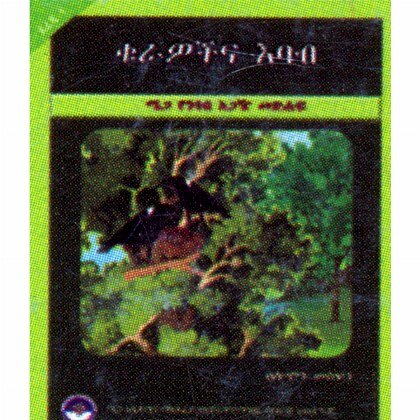 Kurawochina Ebab - Mereb.Shop - ቁራዎችና እባብ