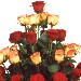 Thumbnail for Mix Flower Bouquet for Special Occasion - Two Face