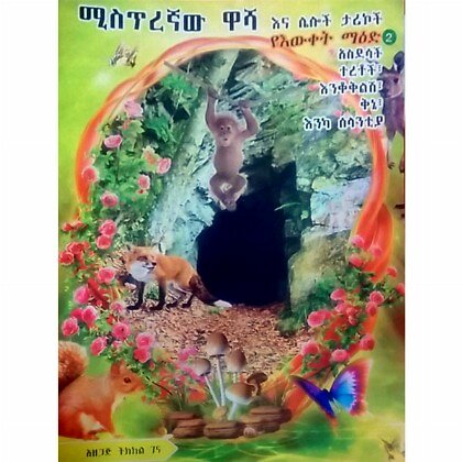 Mistiregnaw Washa - Mereb.Shop - ሚስጢረኛው ዋሻ
