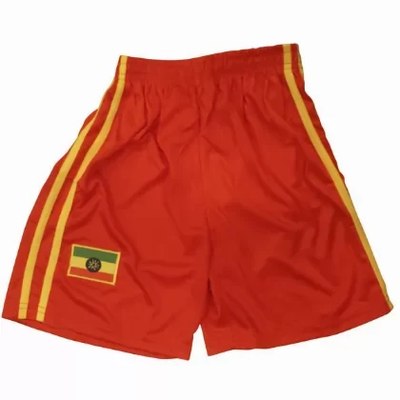 Soccer Shorts