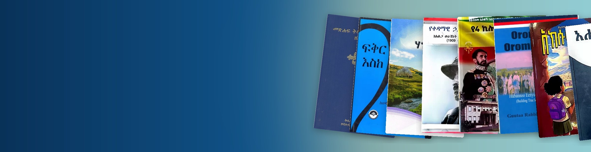 Largest collection of Ethiopian books